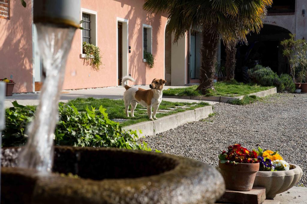 Tenuta Valtoppa Sillavengo Buitenkant foto